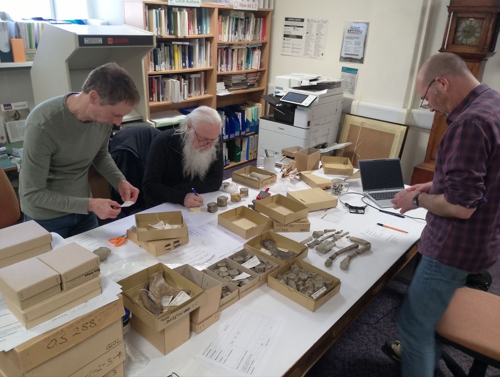 img_20250228_1439445686819416443917913